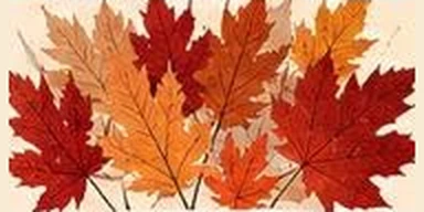 Autumn leaves from the Gracie Barra Coppell Thanksgiving flyer
