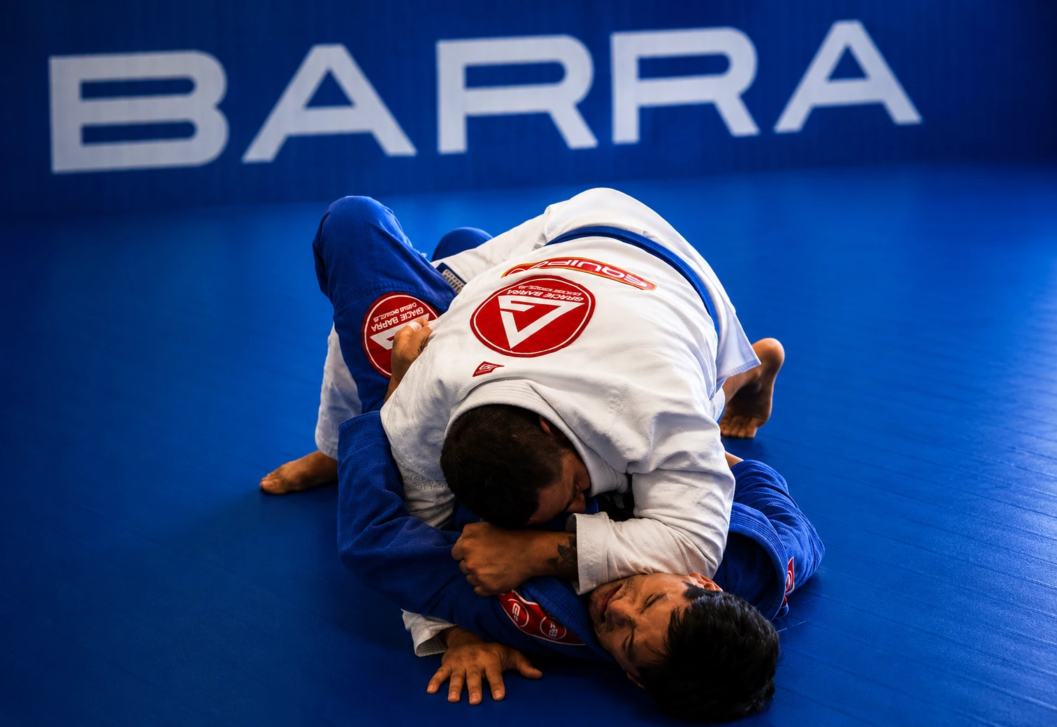 Adult jiu-jitsu class